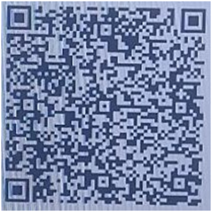 payment QR